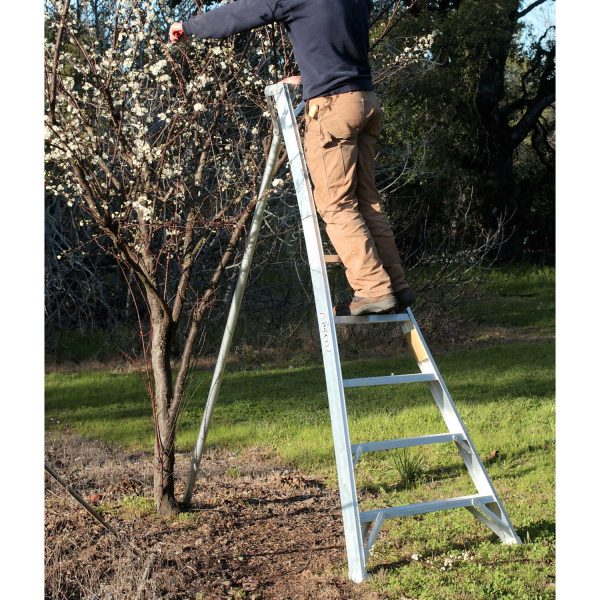 Ladders