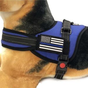Police K9 Gear
